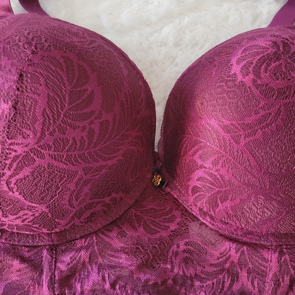 ⚘️DAISY FUENTES BRAND NEW PUSH UP LONGLINE BRA SIZE 42D. - Picture 3 of 4